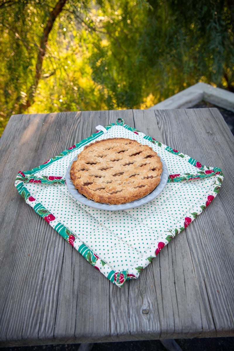 cheery cherry pie carrier 01