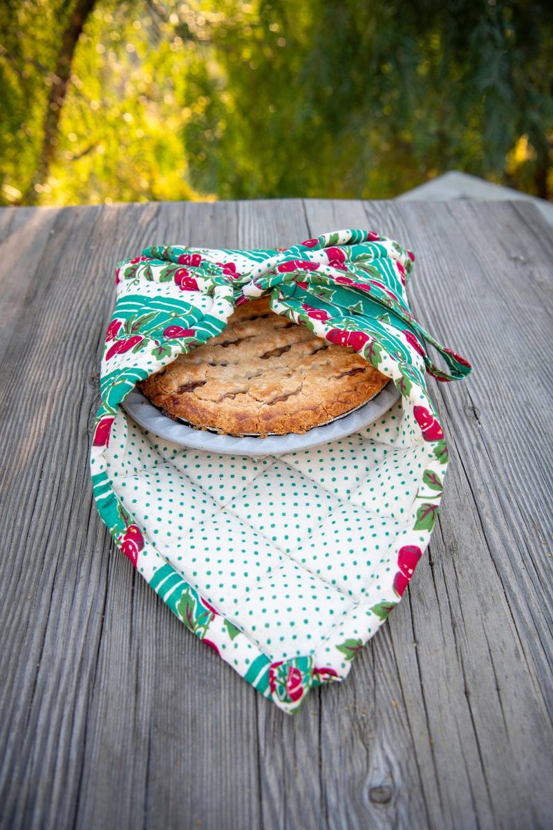 cheery cherry pie carrier 02