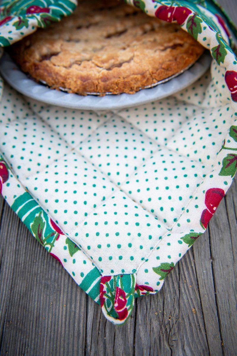 cheery cherry pie carrier 03