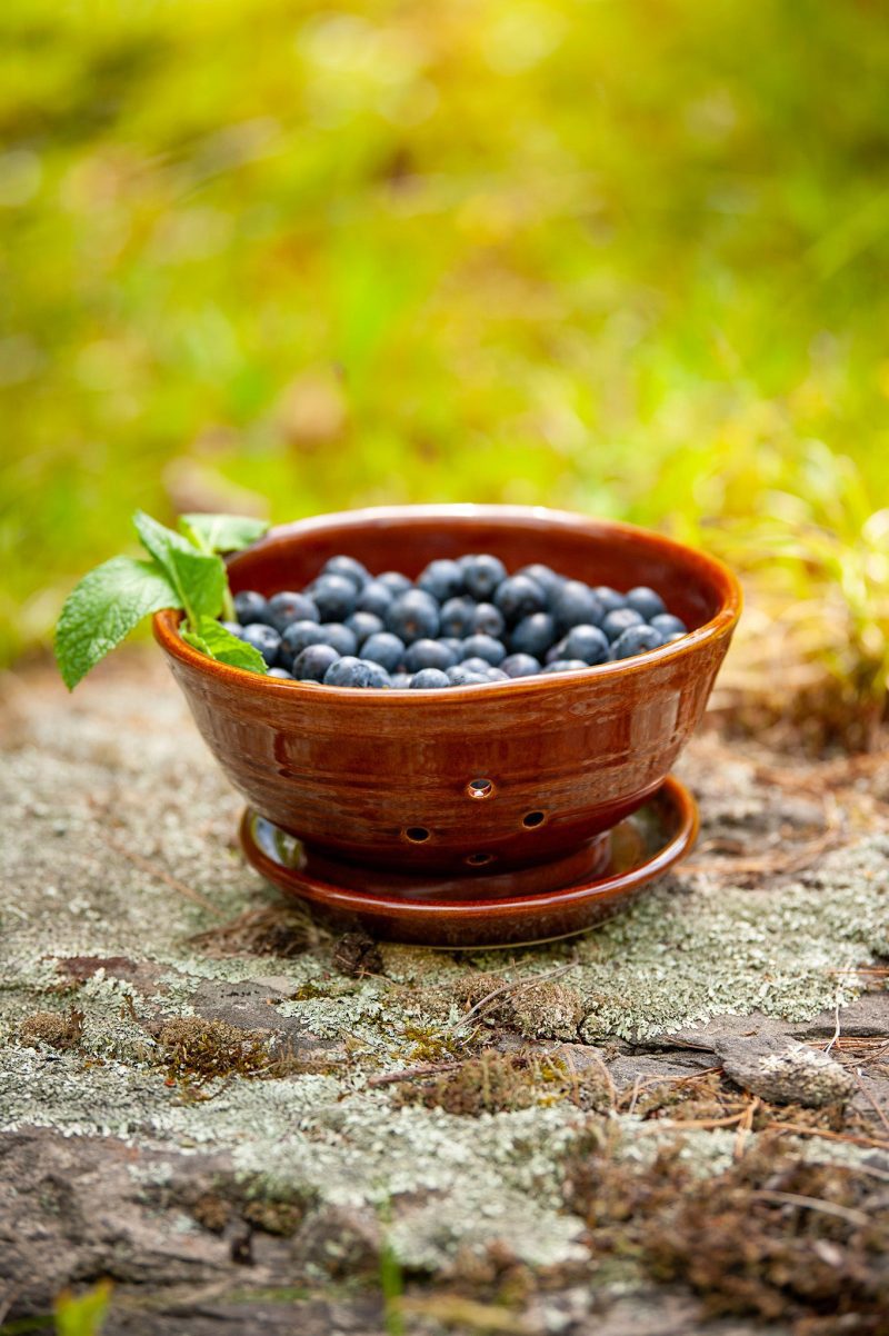 copper clay berry bowl 05