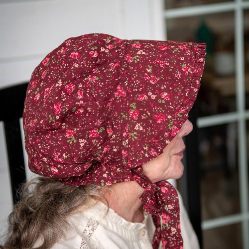 henrietta plum bonnet 03 1