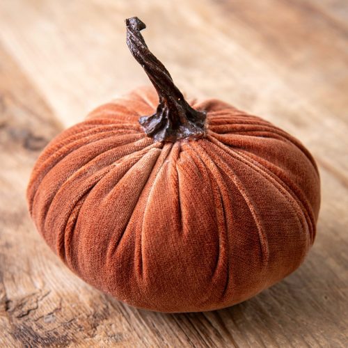 velveteen pumpkin medium orange