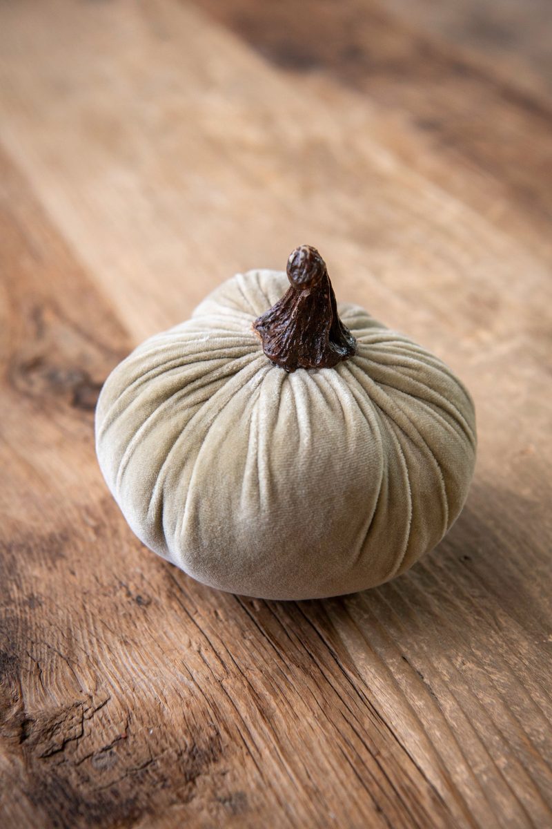 velveteen pumpkin small natural