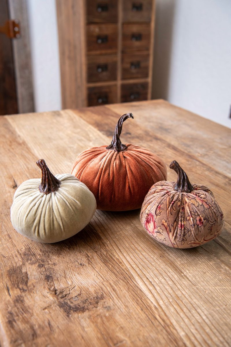 velveteen pumpkins